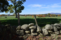 Mt. Monadnock - Witt Hill Rd - Stone Wall & Mountain - Fall